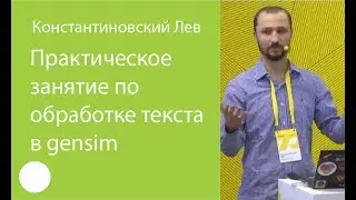 004. Практическое занятие по обработке текста в gensim — Лев Константиновский