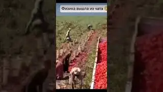 Мир полон магии если не учить физику