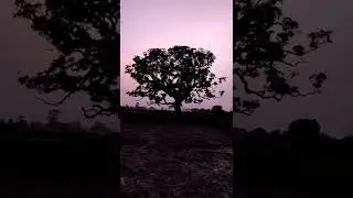 mobile photography IDEA💡-42