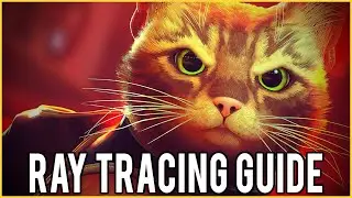 Stray SECRET Ray Tracing Effects Guide | How-To Enable