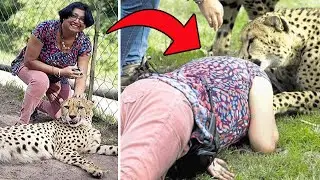 Ela foi tirar Fotos Com Esse Animal e Olha o Que Aconteceu...