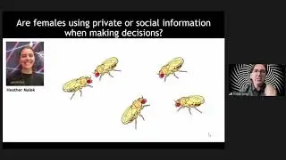 [Tristan Long] Pushing flies: studies of conflict, co-operation and constraint in D. melanogaster