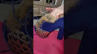 образ в стиле «так хочу» 😎🙂