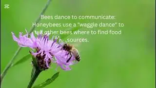 Learn about nature 
