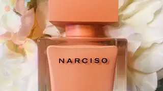 Spotlight Fragrance Review: Narciso Rodriguez Ambreé 