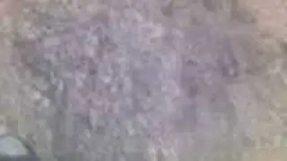 kutyuk,új fajták