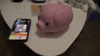 Weekly Review - Wiggy Piggy (The Piggy Bank of the Future!)