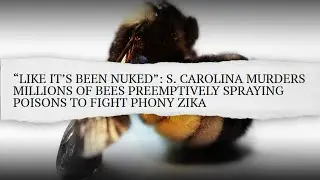 Beepocalypse: MILLIONS of Bees Killed Spraying Us Like Bugs for Zika