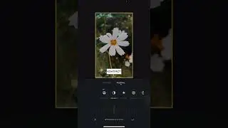 Окрашивание видео в VN / я в ИГ: haritonova.art