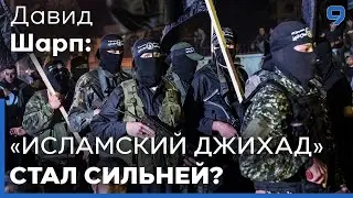 Давид Шарп. Итоги и последствия операции 
