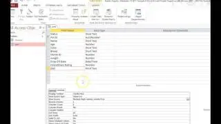 Lookup Fields in Access
