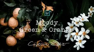Moody Green & Orange - Lightroom Mobile editing ।। Moody Green Lightroom Mobile