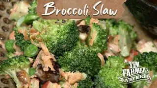 BROCCOLI SLAW | w/ Carrots, Apples, Figs and MORE!
