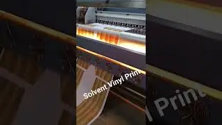 Solvent Vinyl Print