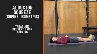 Supine Adductor Squeeze (ball) - GROIN STRAIN REHAB EXERCISE