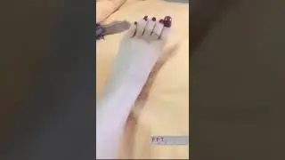 a feetgodess shows her nylon feet soles and toes