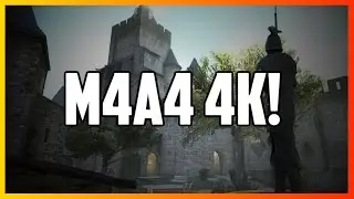 Sleizer | M4A4 4k