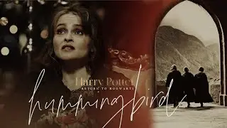 ✨ Harry Potter | Hummingbird [Return to Hogwarts]