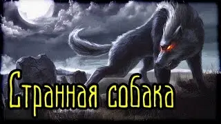 🐕 Странная собака (Страшная История)