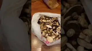 19.04.2022 насобирал.
