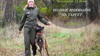 Челендж «Полное внимание на таргете». День 2-й