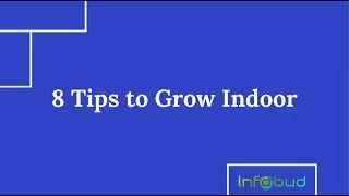 How to Grow Weed at Home