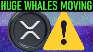 💯XRP n BTC DUMPING, BUYING MORE ON THE 'CHEAP'💯