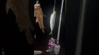 Вечерняя Алушта 8.07.2023