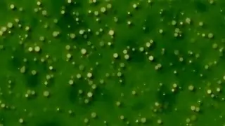 Free Green Background Loop -- Carbonated, Bubbly, Fizzy