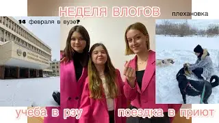 НЕДЕЛЯ ВЛОГОВ: будни студентки Плехановки и поездка в приют