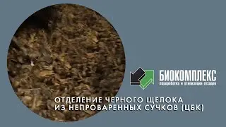Отделение черного щелока из непроваренных сучков  в целлюлозно-бумажной промышленности