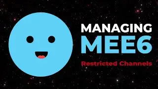 Managing MEE6 - Restricted Channels
