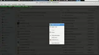 How to install with terminal using dpkg -i
