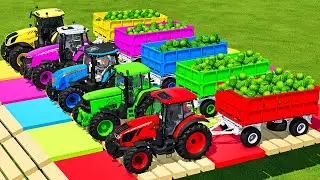 LOAD WATERMELONS & TRANSPORT BATTLE WITH CLAAS, CASE, LANDINI & NEW HOLLAND TRACTORS - FS22