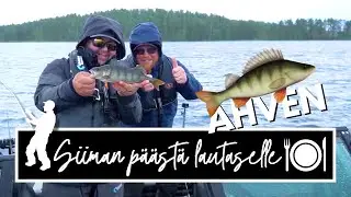 Kalastetaan AHVENTA ruoaksi | Siiman päästä lautaselle