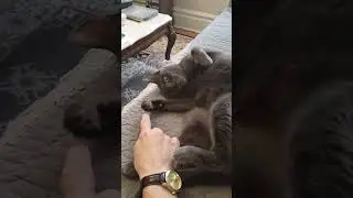 Dad please leave me alone!
