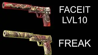 What your usp skin says about you *CS2*