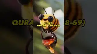 6 Animals Mentioned in the Quran ☪️ ☪️ ☪️