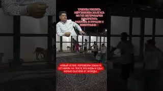 Бедные животные!!! Друзья, Репост!!! Poor animals!!! REPOST!!!