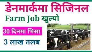 How to apply seasonal farm job in denmark | uttam online