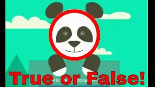 ACTUALLY FUN! | True or False #1