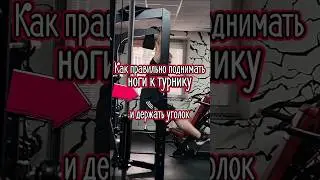 Как правильно качать пресс в подъёмах ног к турнику и удерживая уголок