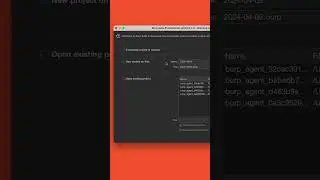 Burp Suite 