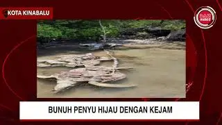 BUNUH PENYU HIJAU DENGAN KEJAM