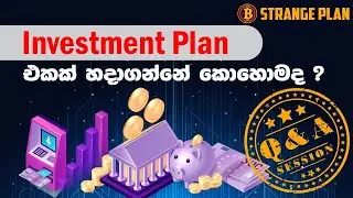 Crypto Coach Introduction - Strange #plan Q&A
