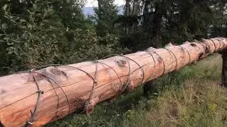 Log gate