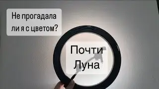 Люблю красить, особенно, когда все готово ✅ Любуюсь новой стеной 🌙
