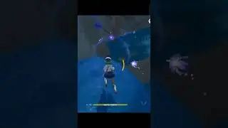Genshin Impact- Use of Electrogranum