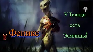 ФениксЫ, Эсминец Телади, хорошо хоть летает... x4,