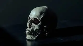 Horror Transitions | Premiere Pro Presets - Motion Array